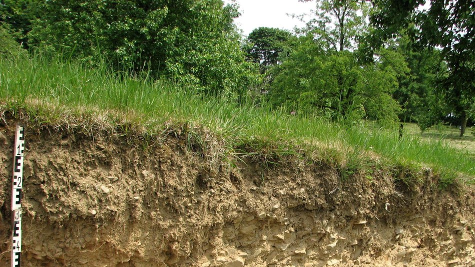 Land and soil losing ground to human activities — European Environment