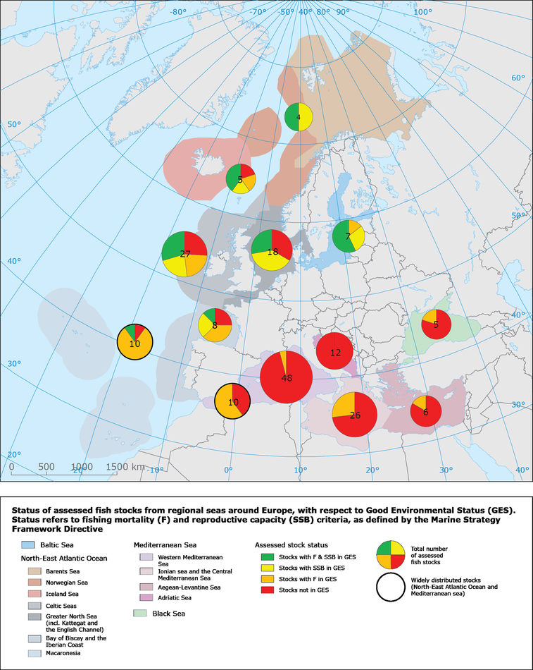 Status of fish stocks in relation to Good Environmental Status