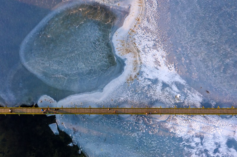 Environment&Me - Blue.jpg