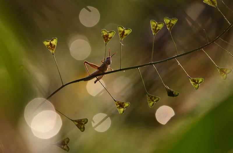 Environment&Me - Green.jpg