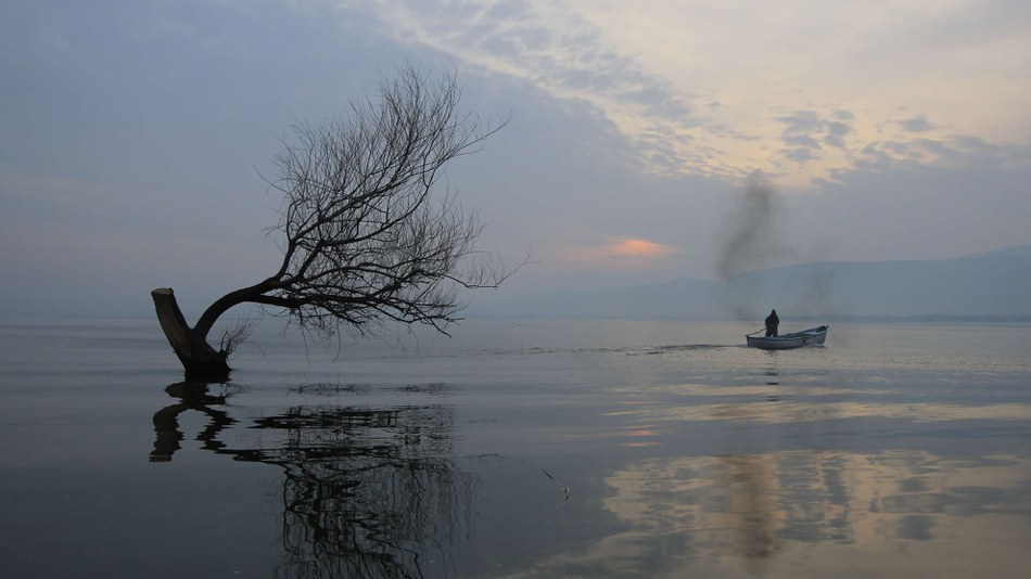 Climate change adaptation in Europe: tracking progress and sharing know-how