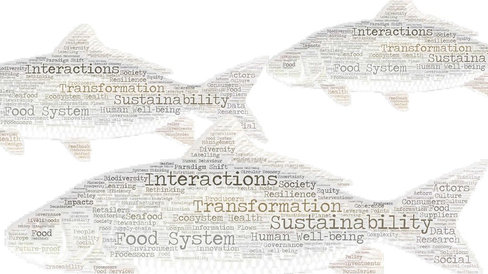 Fish to fork: a need to implement changes in the food system