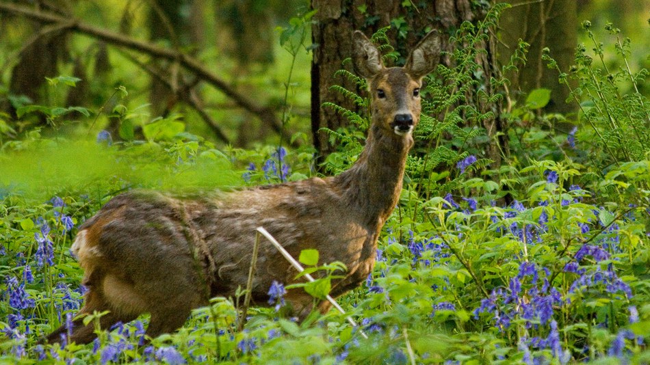 Is there a protected area near you? Find out on UN Biodiversity Day