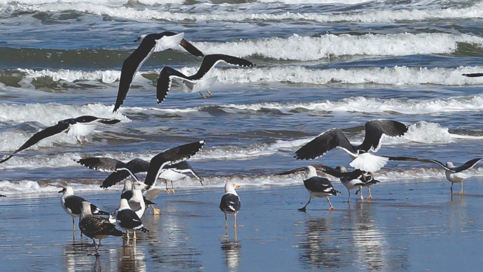 Reducing pollution in the southern Mediterranean