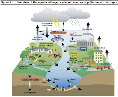 pollution of water