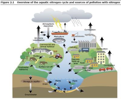 pics of water pollution