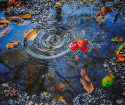 Europe-wide monitoring for antimicrobial resistance in surface waters can help improve data on health risks