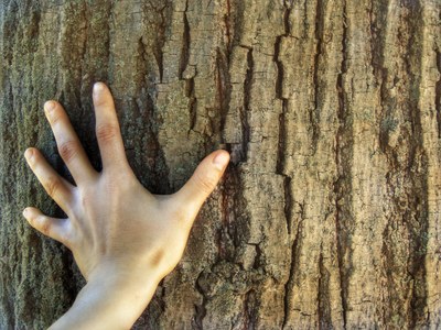 More bio-based innovation can help reduce environmental impacts, boost Europe’s bioeconomy and sustainability