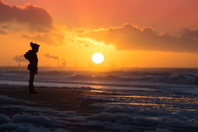 Trends and projections: greenhouse gas emissions largely on track to 2030 targets