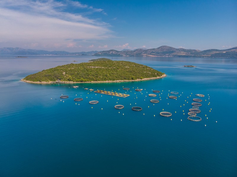 Ευρωπαϊκό Οργανισμό Περιβάλλοντος