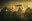 Environmental inequalities