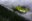 Forests and forestry