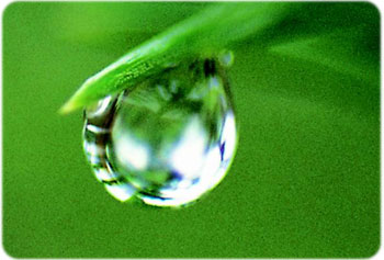 waterdrop