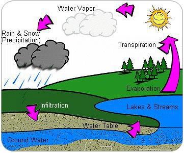 Hydrological-cycle
