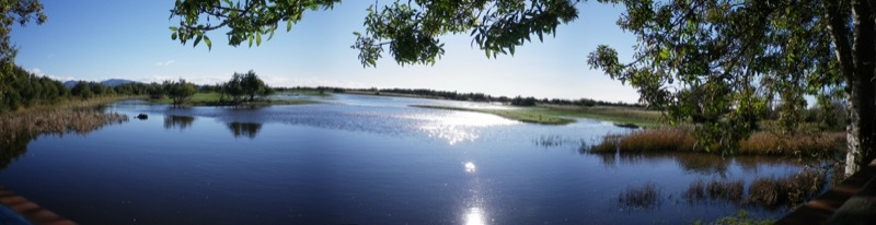 Aiguamolls natural parc 