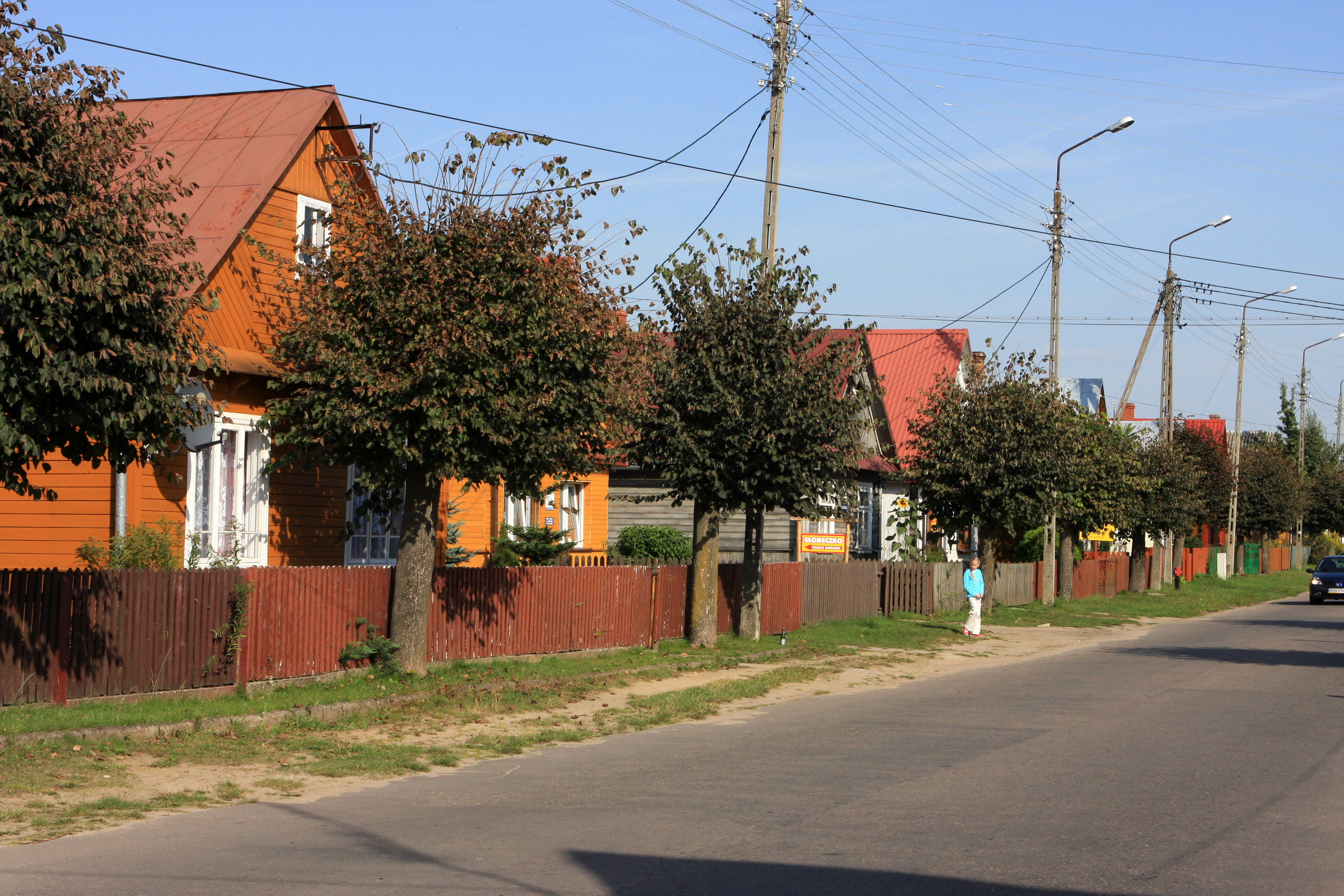 Farmhouses in Białowieża Village