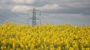 Při výrobě bioenergie je nutné využívat zdroje efektivně