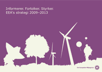 EEA's strategi 2009–2013