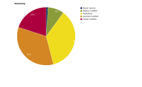 Distribution of the active and former floodplain status classes