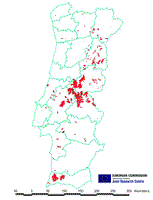 Areas burnt in Portugal in 2003 summer season up to 8 August 2003