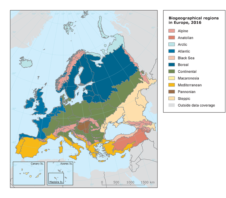 Species richness by biogeographical area and provinces