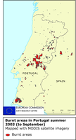 Burnt areas in Portugal, summer 2003
