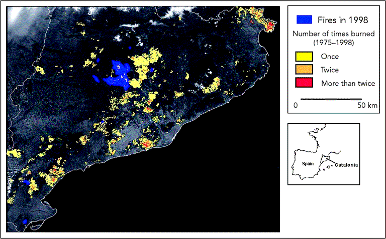 https://www.eea.europa.eu/data-and-maps/figures/burnt-forest-areas-and-fire-frequency-in-catalonia-from-1975-to-1998-derived-from-landsat-images/case-study-fires-in-1998.tif/image_large