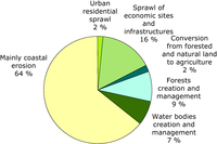 Causes of loss of coastal ecosystems