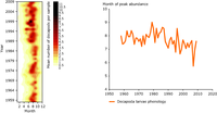 Decapoda larvae abundance and phenology in the central North Sea