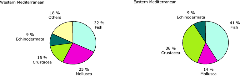 https://www.eea.europa.eu/data-and-maps/figures/discarded-species-composition-resulting-from-trawling-activities-at-150-400-m-depth-in-the-mediterranean/figure-07-3.eps/image_large