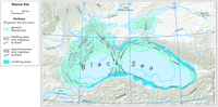 Distribution of anchovy