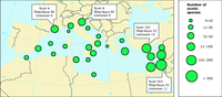 Distribution of exotic species across the Mediterranean Sea and mode of introduction in selected areas