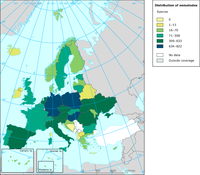 Distribution of nematodes