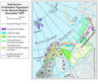 Distribution of Reindeer Populations in the Barents Region, December 1997