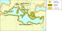 Distribution of the marine Angiosperm Posidonia oceanica and Zostera sp. in the Mediterranean.