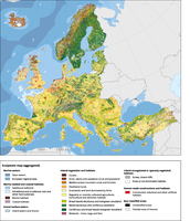 Ecosystem type map (aggregated classes)