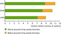 Evolution of carbon in above- and below-ground woody biomass