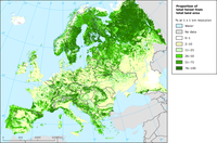 Forest map of Europe