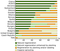 Forest regeneration strategies in selected EEA member and cooperating countries (reporting this information)