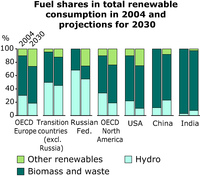 Fuel shares in total renewable consumption in 2004 and projections for 2030