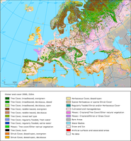 Global land cover 2000 - 250m