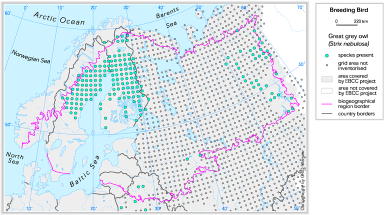 https://www.eea.europa.eu/data-and-maps/figures/great-grey-owl-strix-nebulosa/bor7_birds.eps/image_large