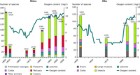 Historical development of the biotic community and average oxygen levels of the River Rhine near Emmerich and the Elbe near Magdeburg