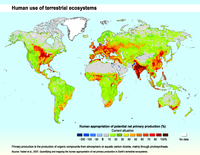 Human use of terrestrial ecosystems