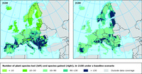 Impact of climate change on number of plant species, 2100