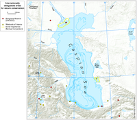 Internationally designated areas for nature protection in the Caspian Sea