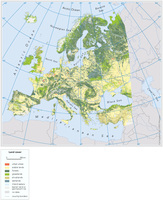 Land cover