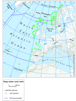 Locations of deep water coral reefs