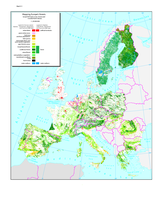 Mapping Europes forests: broad EEA Land cover, forest and wooded land classes