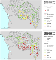 Migrating fishes — river fragmentation by obstacles for year 1700 and 2005, salmon adult, downstream to upstream